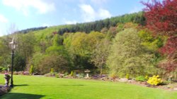 Dalby Forest from High Dalby House Wallpaper