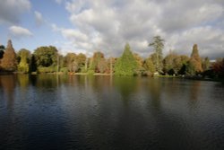 The Lake at Sheffield Park Wallpaper