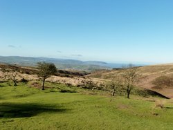 Quantock Hills Wallpaper
