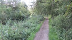 Odiham Castle, Hook, Hampshire Wallpaper