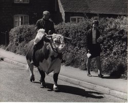 Main Street, Whittington near Lichfield, Staffordshire Wallpaper