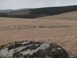 Grey Wethers Stone Circle Wallpaper