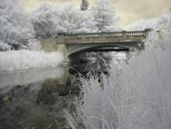 Coltishall Bridge Wallpaper