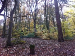 Bramhall Park Wallpaper