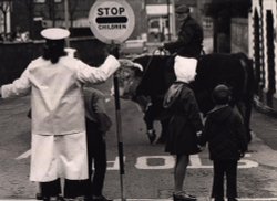 Jean Moore (Lollipop lady) Bull, and John Moore. Wallpaper