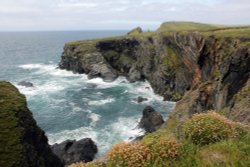 Longcarrow Bay, Trevone Wallpaper