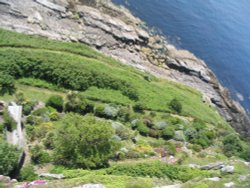 St. Michael's Mount. View of Cliffside Gardens June 2003 Wallpaper