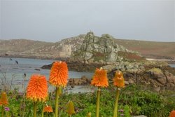 Tresco Isles of Scilly Cornwall Wallpaper