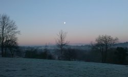 A frosty view of Frankly Beeches.