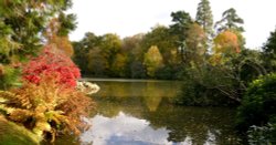 Autumn Lake in Sussex Wallpaper