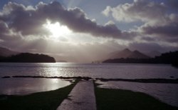Dewent Water after a storm Wallpaper