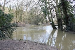 The Stepping Stones ??