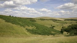 Castle Hill Nature Reserve Wallpaper