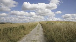 South Down Way Wallpaper