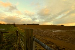 Field, hampton loade Wallpaper