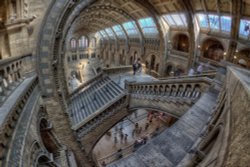 The Natural History Museum, London