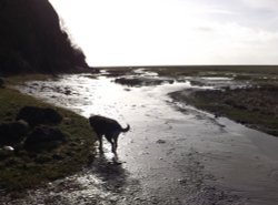 Humphrey Head Wallpaper