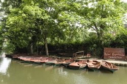Boats for Hire – Guildford Wallpaper