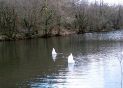 Otterhead Lakes Wallpaper