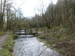 Otterhead lakes Wallpaper