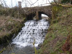 Otterhead Lakes Wallpaper