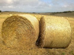 St Margaret's At Cliffe Wallpaper