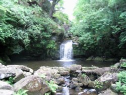 Thomason Foss, Beck Hole Wallpaper