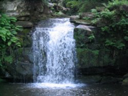 Thomason Foss, Beck Hole Wallpaper