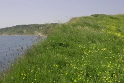 Coastal Path Wallpaper