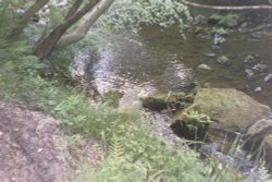 Beck Hole - View of River from Path to Thomason Foss Wallpaper