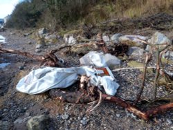 Axmouth Harbour Wallpaper