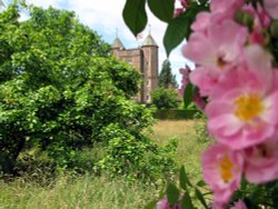 Garden and tower view Wallpaper