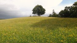 Teesdale, County Durham Wallpaper