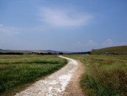 Country Park. Wallpaper