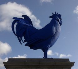 Watcha Cock. Wallpaper