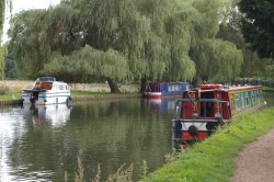 River Wey by Guildford Wallpaper