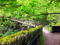 Lovely Rydal Water walk Wallpaper