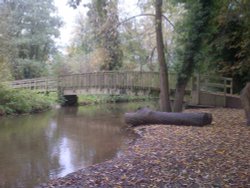 Bridge at Lullingstone country park