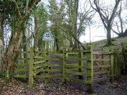 Branscombe Wallpaper