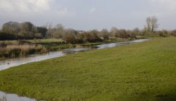 River Cuckmere Wallpaper