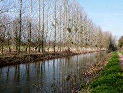 Bridgewater Wallpaper