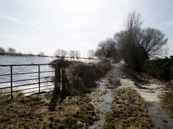 Bridgewater Wallpaper