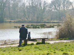 One Man and His Dog Wallpaper