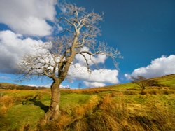 Barley, Lancashire Wallpaper