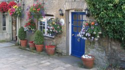 Stow on the Wold Flowers Wallpaper
