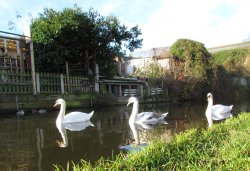 Rugeley canal Wallpaper