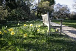 Garden Bench, Nymans Wallpaper
