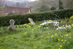 A Tranquil View Wallpaper