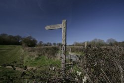 A Rural Walk Sussex Wallpaper