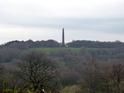 Sampford Moor Wallpaper